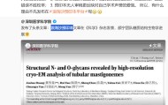 易倍体育官方入口-颜宁微博发文：我本人曾经至少两篇CNS论文被审稿人偷信息抢发